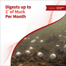 UltraClear pond muck treatment helping odor reduction in water.