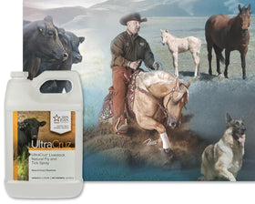 UltraCruz Livestock Natural Fly and Tick Spray ingredients peppermint and clove closeup with natural repellents.