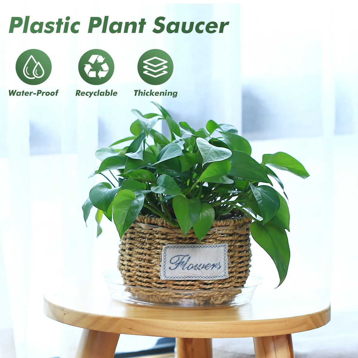 UltraOutlet 10-inch clear plant saucer ensures reliable drainage for larger planters.
