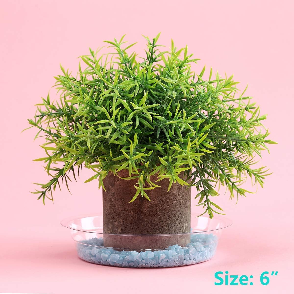 UltraOutlet bulk pack of 20 saucers offers convenient indoor plant care.
