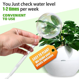 ULTRNICC durable borosilicate glass globe suitable for home, office, garden.