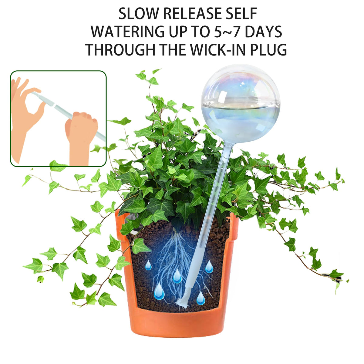 ULTRNICC 6.5 oz globe designed for medium plants and longer hydration.