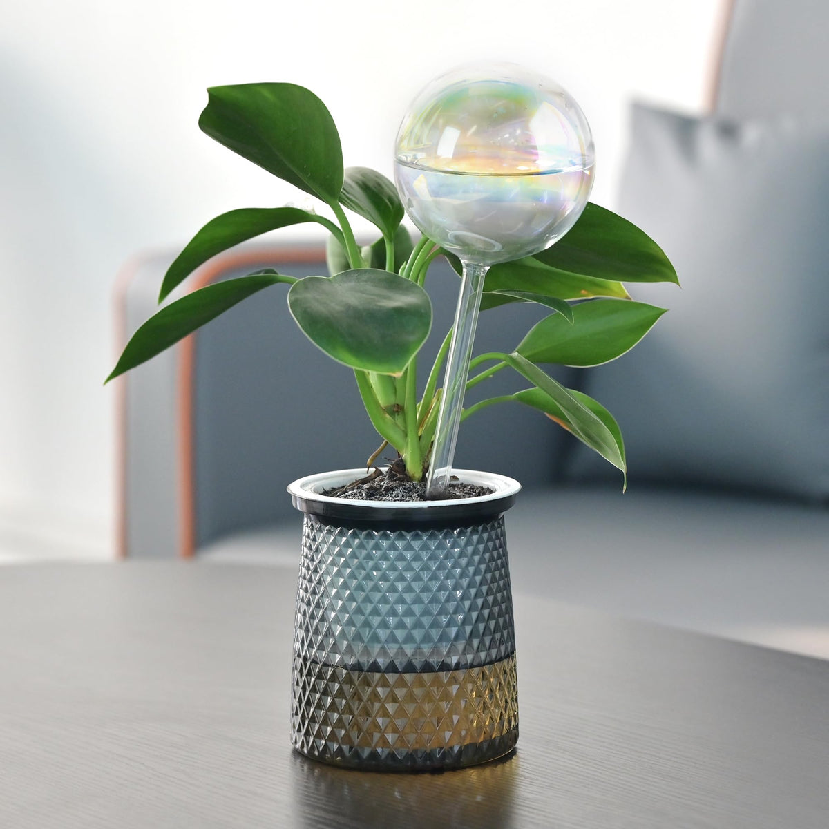 ULTRNICC window-sill display shows vacation-friendly hydration for plants.