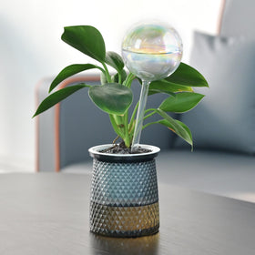 ULTRNICC window-sill display shows vacation-friendly hydration for plants.