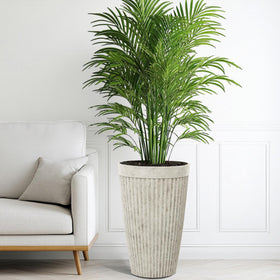 Ultym tall planters create lush plant displays in small spaces.