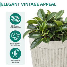 Ultym resin pot supports herbs with pre-drilled drainage for healthy growth.