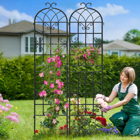 Ultym butterfly-inspired scroll design adds an elegant garden backdrop.