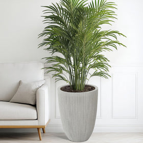 Ultym planters withstand sun and weather for all-season decor and plants