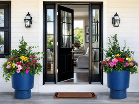 Ultym cobalt blue glaze urn planter adds modern color to patios.