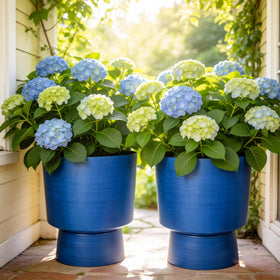 Ultym all-weather urn planter suitable for outdoor and indoor spaces.