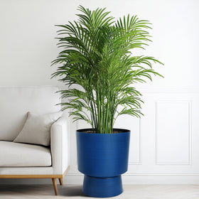 Ultym urn planter UV-inhibited finish resists fading in all seasons.