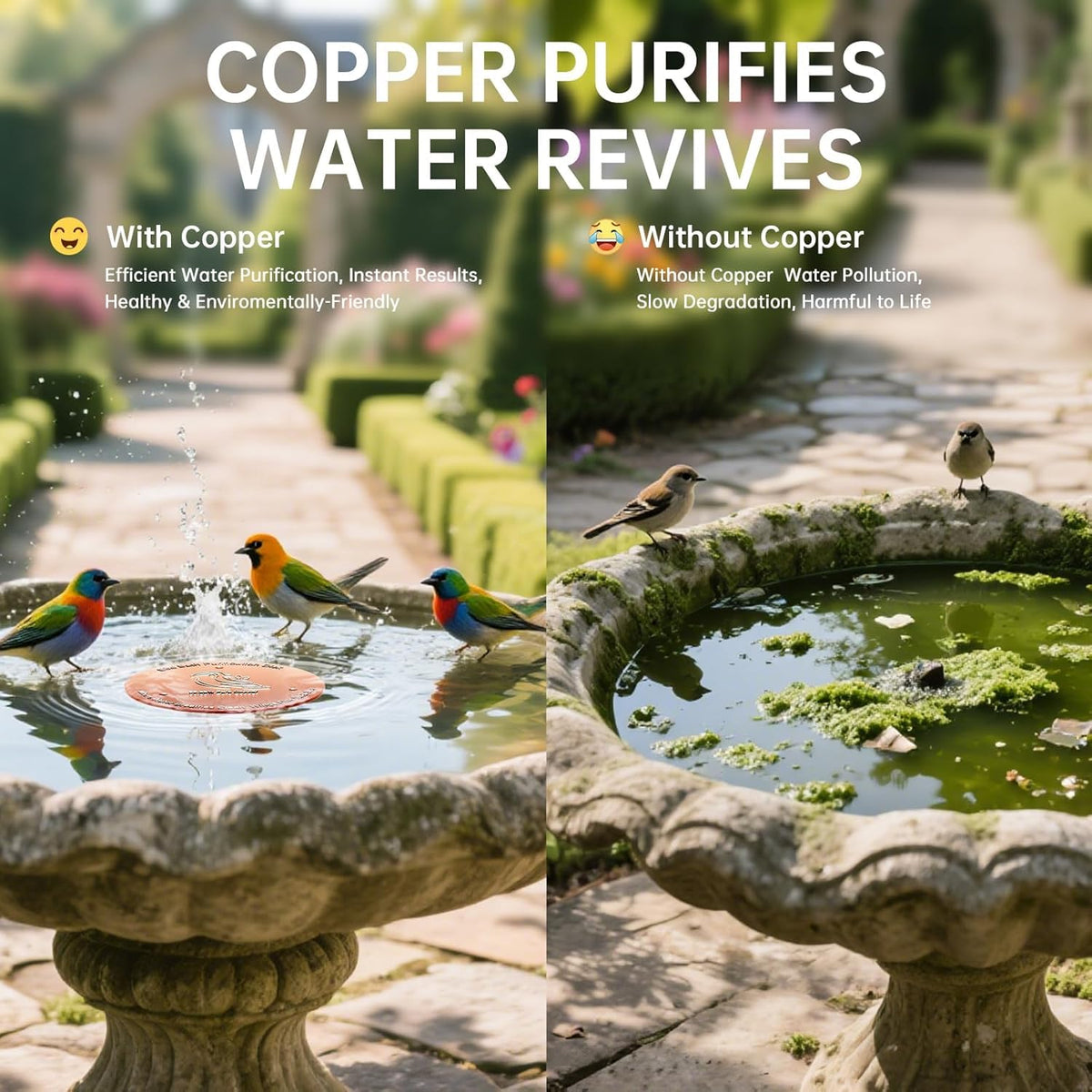 Ulycon copper disc placed in a bird bath showing water in motion.