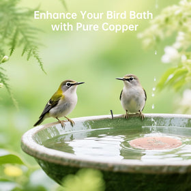 Drop-in use with no tools needed for Ulycon bird bath discs.