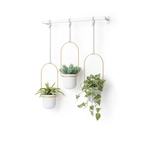 Umbra Triflora extendable rod enables flexible window display and easy watering.
