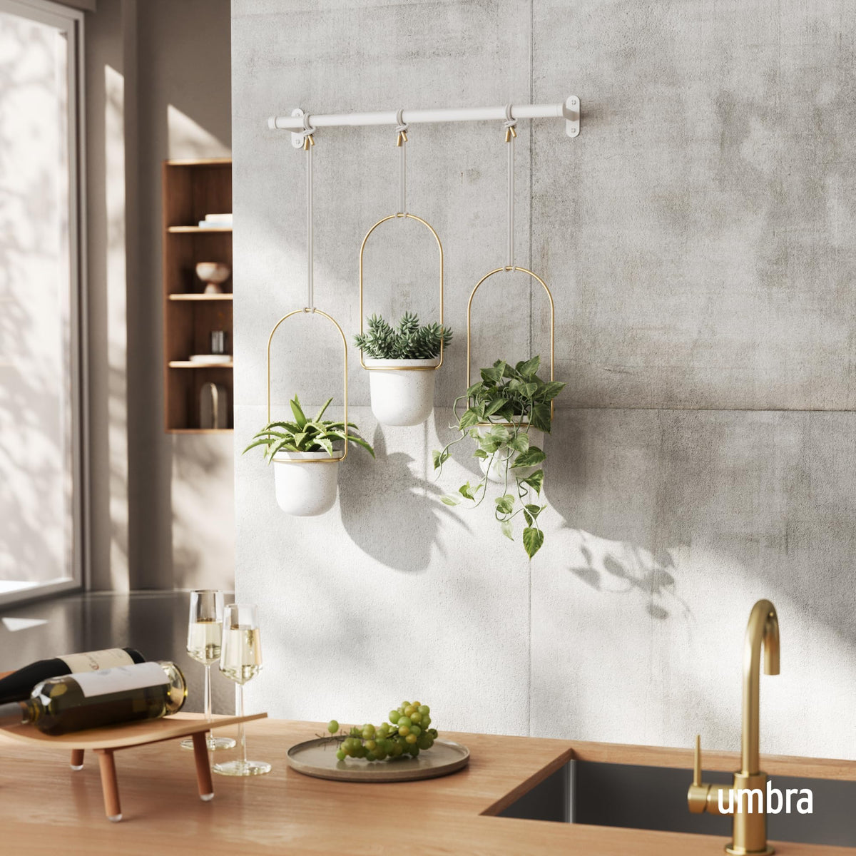 Umbra Triflora hanging planter set of 3 showcases compact vertical greenery.