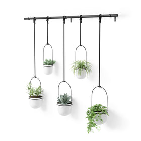 Umbra Triflora window-hanging planter displays a compact herb garden.