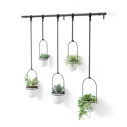 Umbra Triflora window-hanging planter displays a compact herb garden.