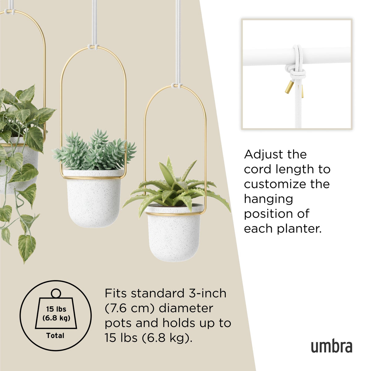 Umbra Triflora standard 3-inch pots fit without repotting.