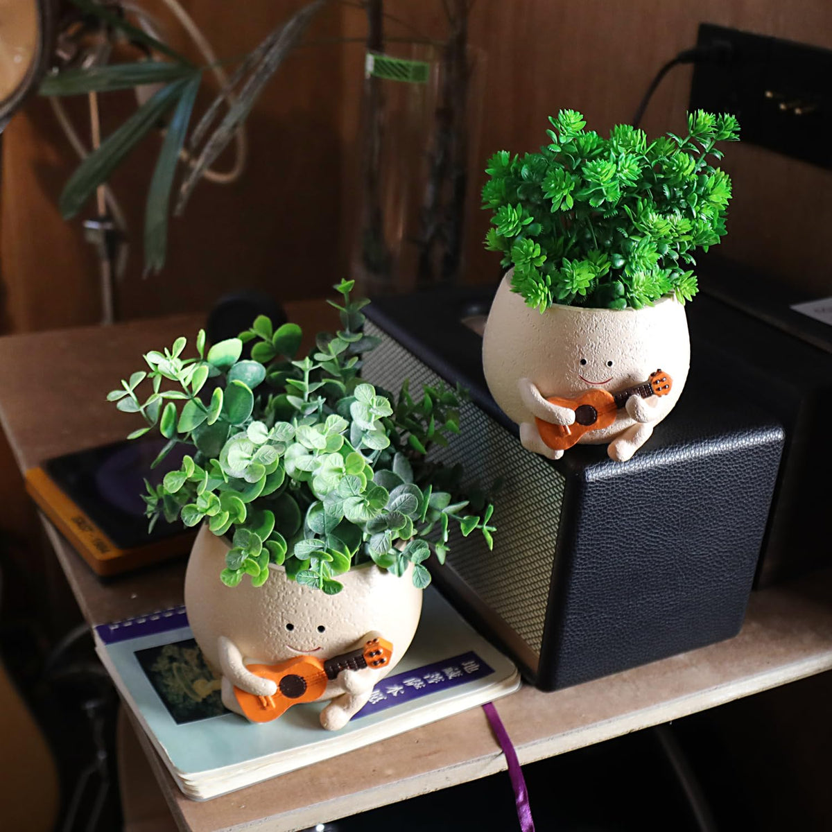 UMESONG string-of-pearls planter brings greenery with charm to small spaces.