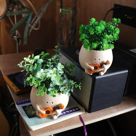UMESONG string-of-pearls planter brings greenery with charm to small spaces.