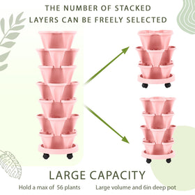 Umigy strawberries and herbs thrive in the seven tiers saving space.