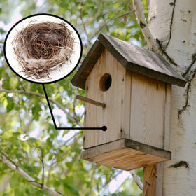 Uncle Dunkels replacement cotton, natural fibers for birds.