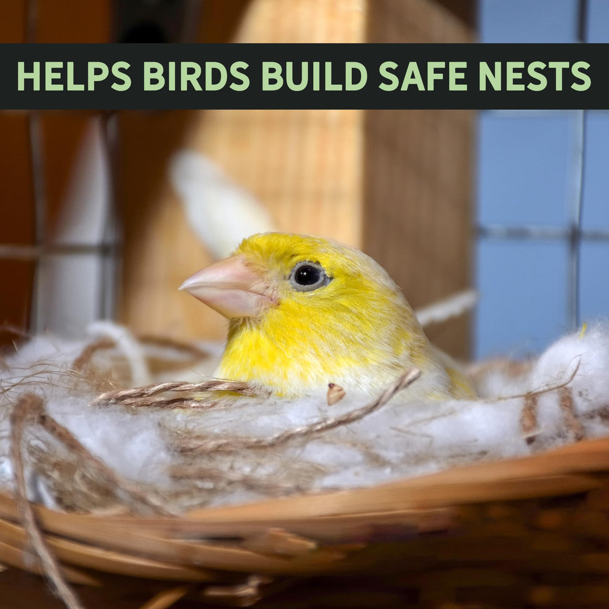 Uncle Dunkels organic cotton refill, natural fibers for bird nests.