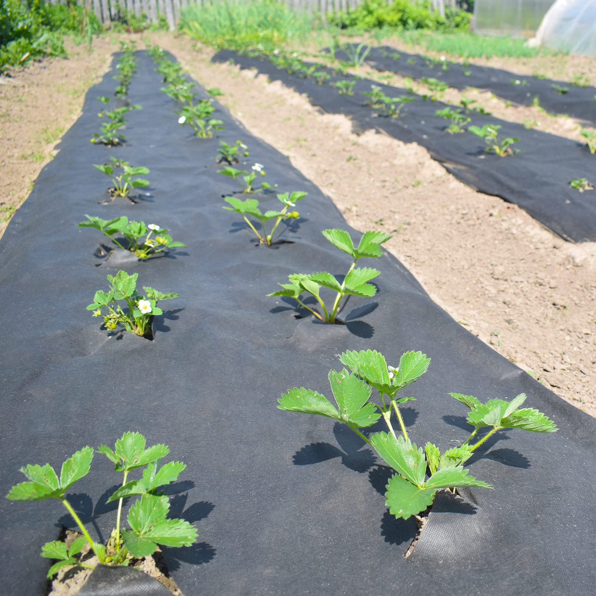 UNDERGUARD landscaping underlayment installation supports soil stability in gardens.