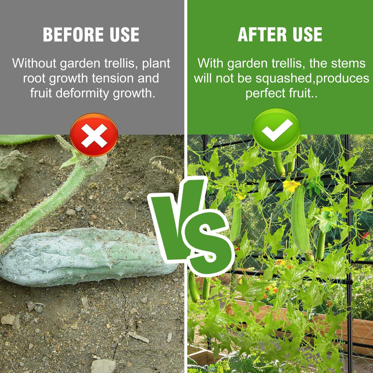 Unho 63-inch trellis arch with cucumbers and tomatoes in a sunny patch