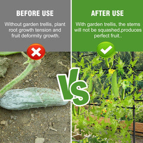 Unho 63-inch trellis arch with cucumbers and tomatoes in a sunny patch
