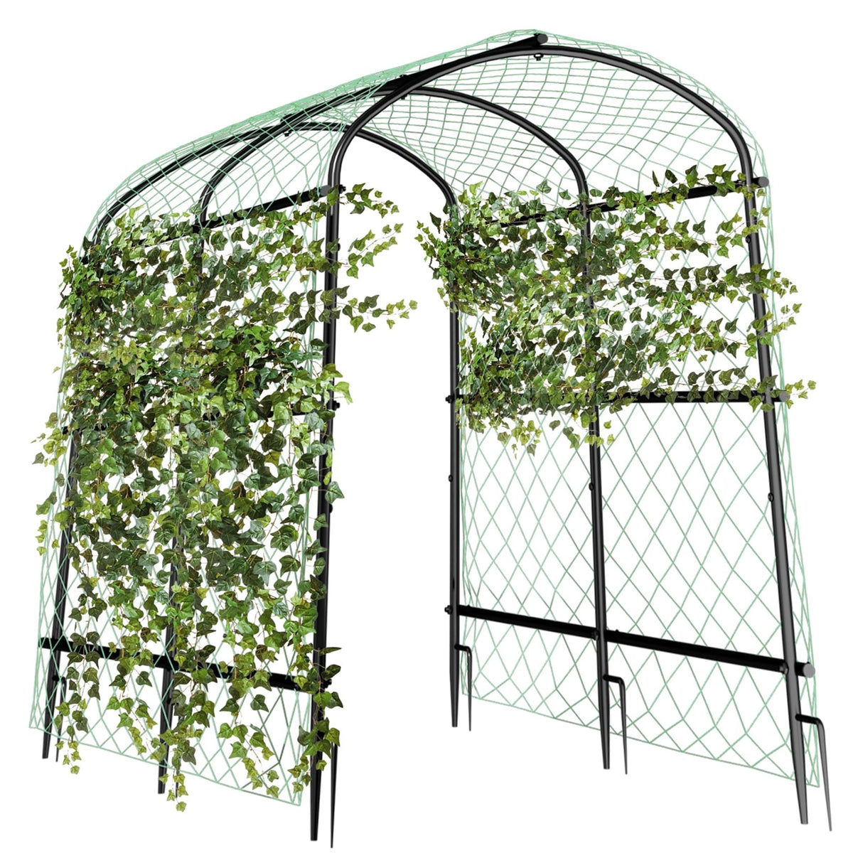 Unho 63-inch trellis arch top view supports climbing plants efficiently