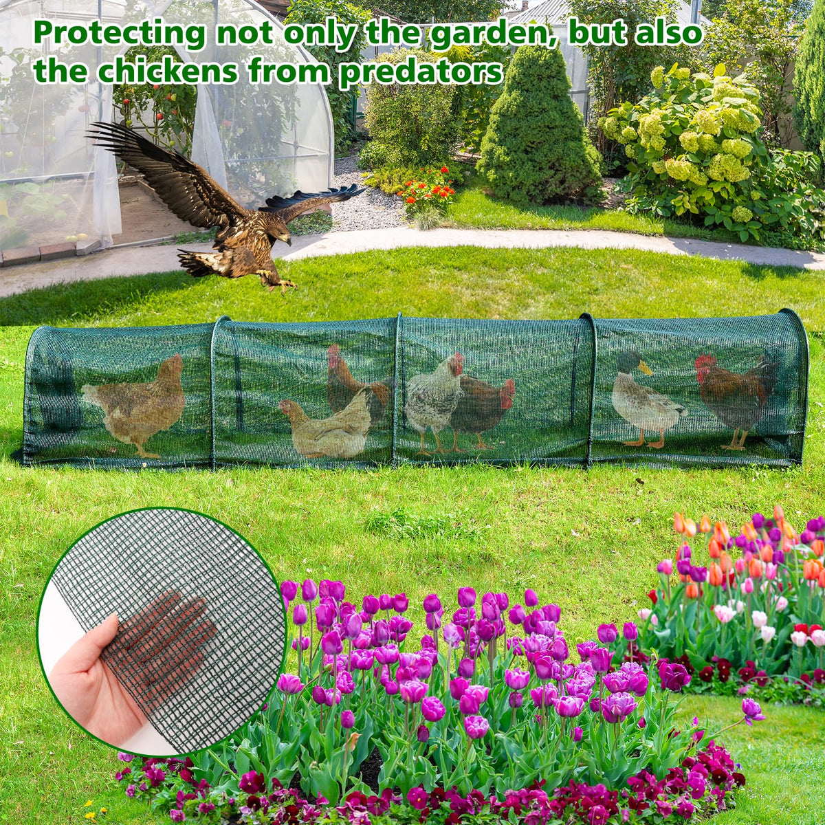 UNIFAMILY Chicken Tunnel guards garden protection while chickens roam the yard.
