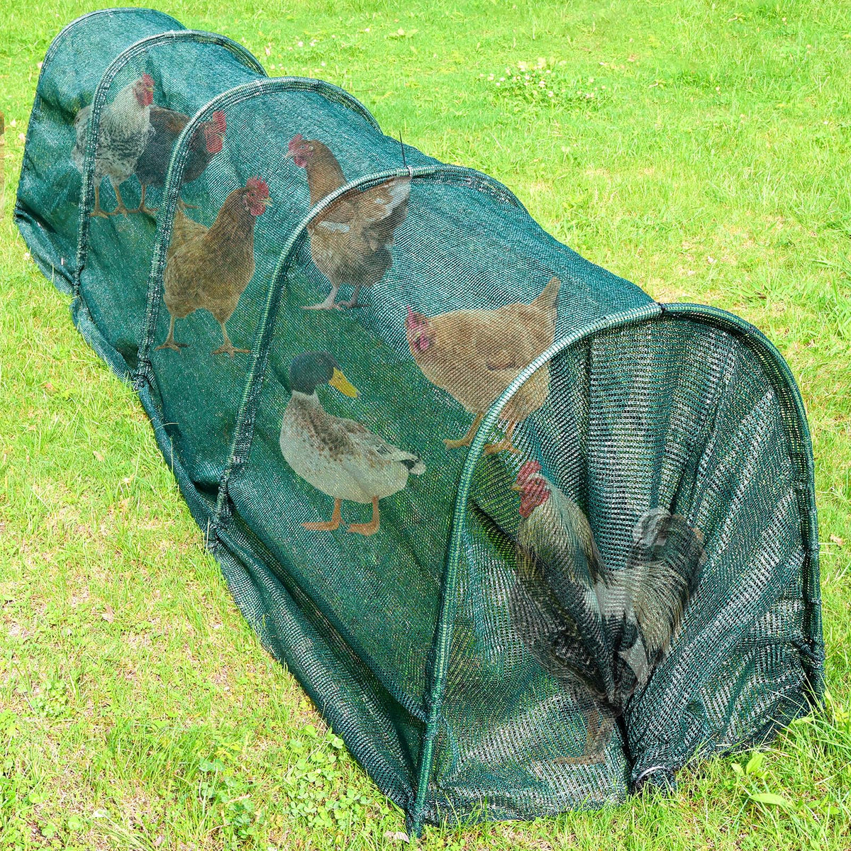UNIFAMILY Chicken Tunnel outside 12ft enables safe free-ranging for backyard hens.