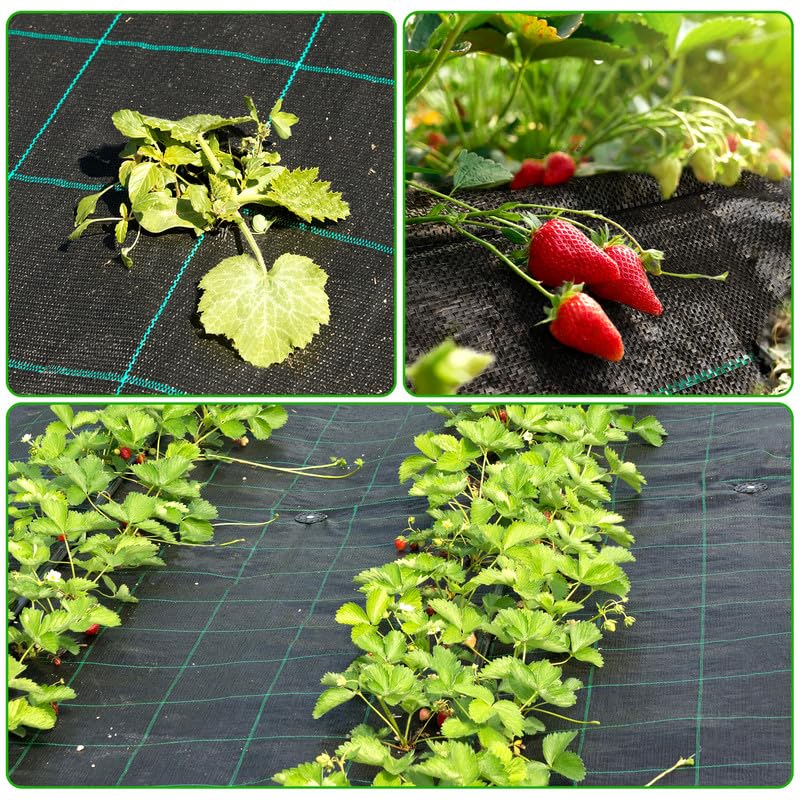UNIFAMILY ground cover supports pathways, artificial grass bases, and vegetable beds.