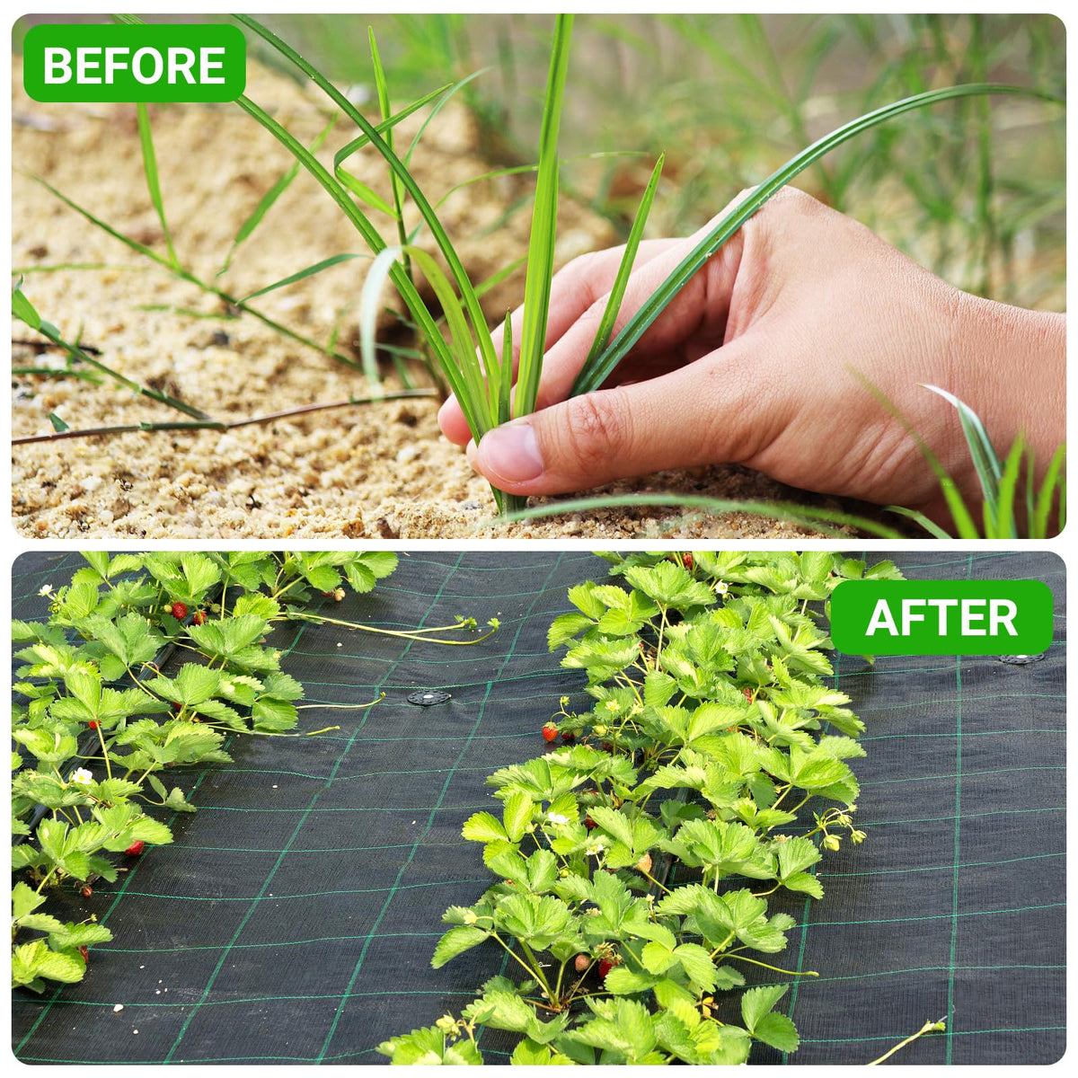 UNIFAMILY landscape fabric planting-holes design supports plant placement without extra drilling.