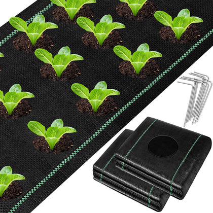 UNIFAMILY landscape fabric with planting holes for precise garden bed layout and weed suppression.