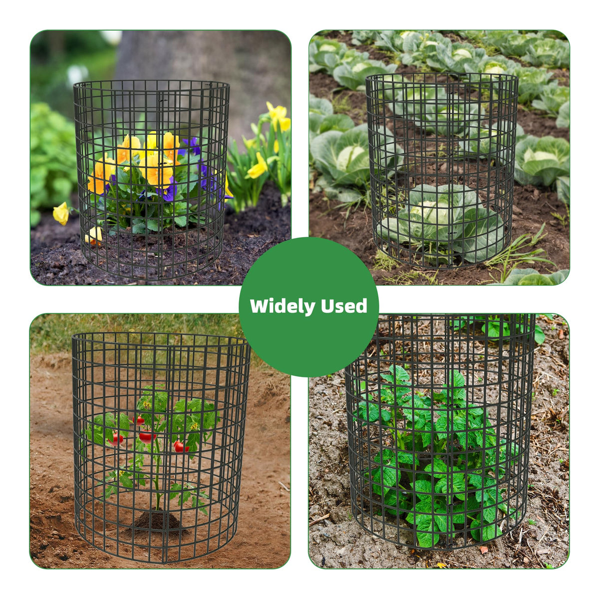 UNIFAMILY plant protector in a garden guarding roses and vegetables