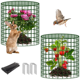 UNIFAMILY plant protector net around a rose, guarding against small animals in the garden