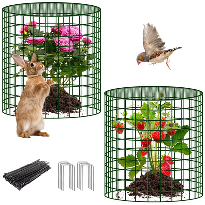 UNIFAMILY plant protector net around a rose, guarding against small animals in the garden