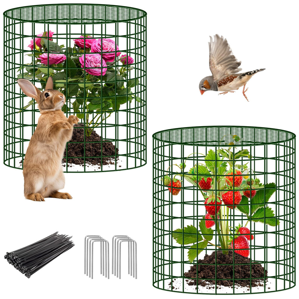 UNIFAMILY plant protector net around a rose, guarding against small animals in the garden
