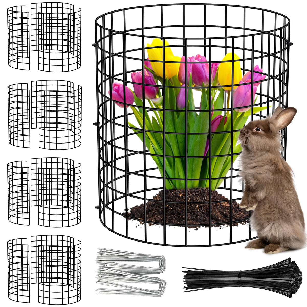 UNIFAMILY plant protectors shield roses from rabbits and chipmunks.