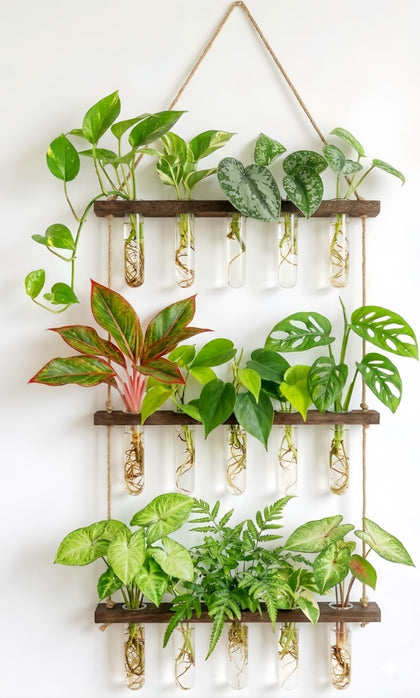 Unijoy glass hanging station on a wall with three tiers for space-saving indoor gardening.