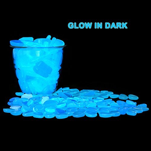 Unime blue glow pebbles accent a planter and garden bed with decorative lighting