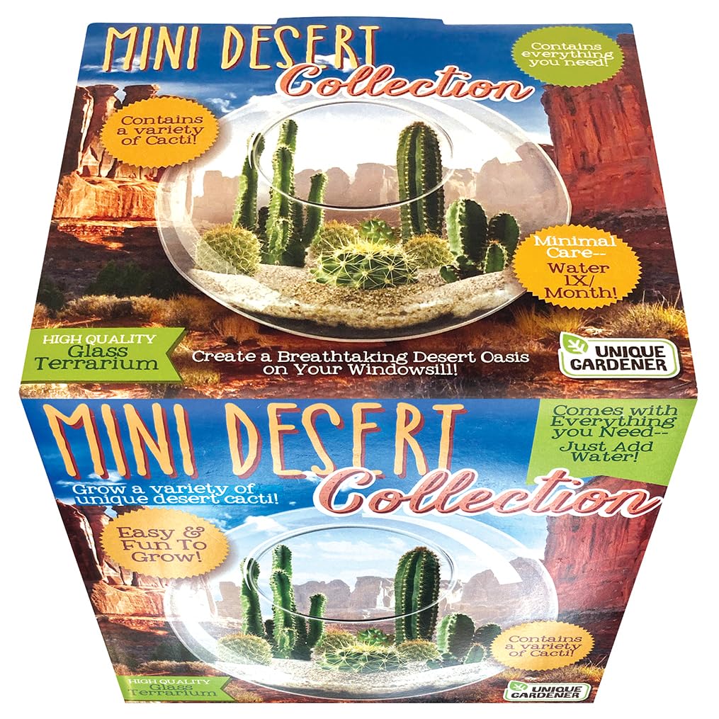 Unique Gardener desert oasis inside terrarium demonstrating low-maintenance indoor gardening appeal