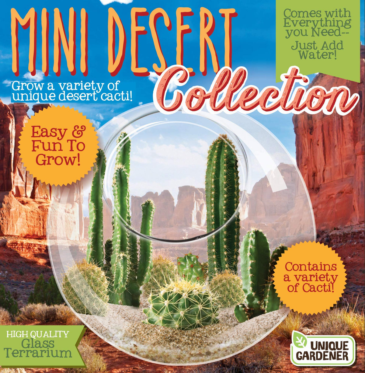 Unique Gardener live cacti terrarium highlighting vibrant plants for quick desk greenery