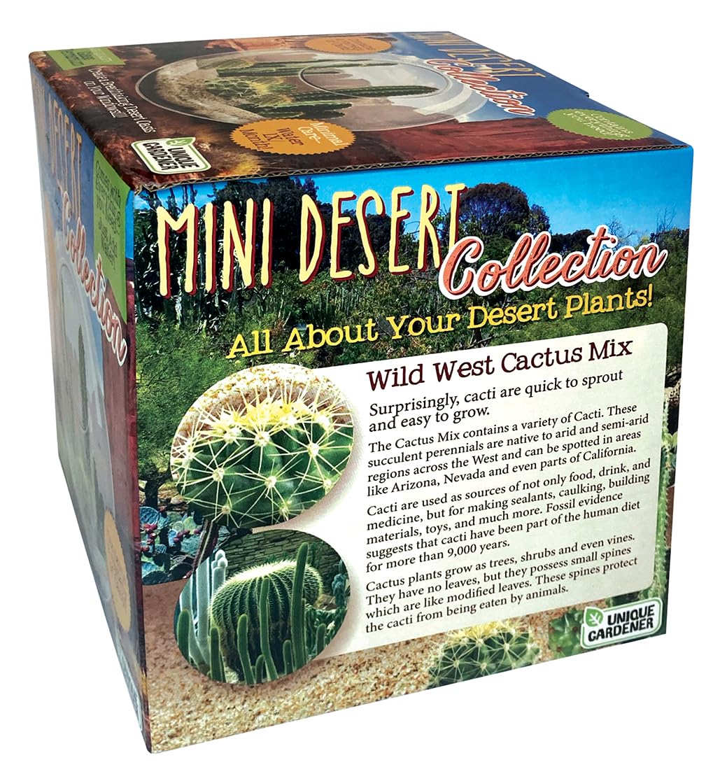 Unique Gardener mini desert garden setup capturing a charming, compact plant display