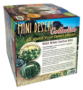 Unique Gardener mini desert garden setup capturing a charming, compact plant display
