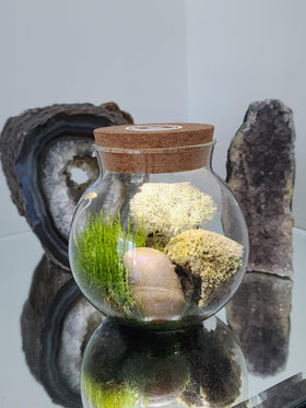 Unique Gardener Moss Bowl Accent Stones highlight focal points in the moss terrarium