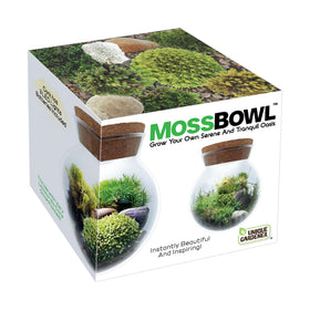 Unique Gardener Moss Bowl Deerfoot Moss adds delicate texture for woodland vibes