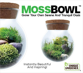 Unique Gardener Moss Bowl Desk Setup demonstrates transforming a workspace into a peaceful retreat
